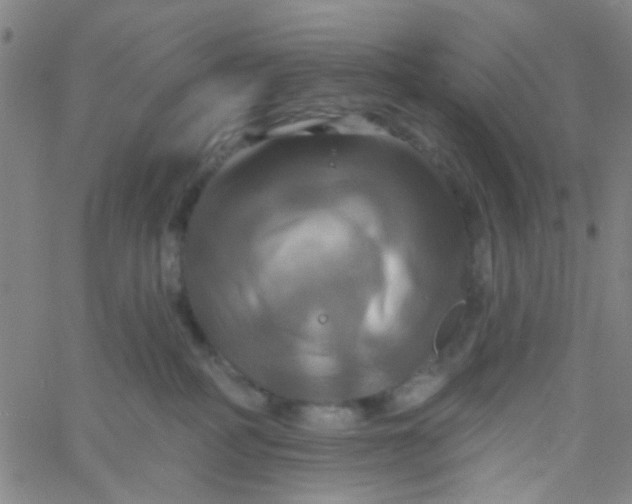 X0000061750234200512231533