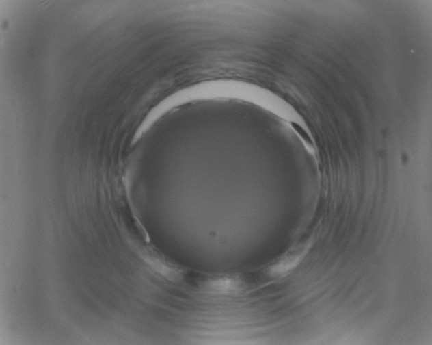 X0000061750237200512231533