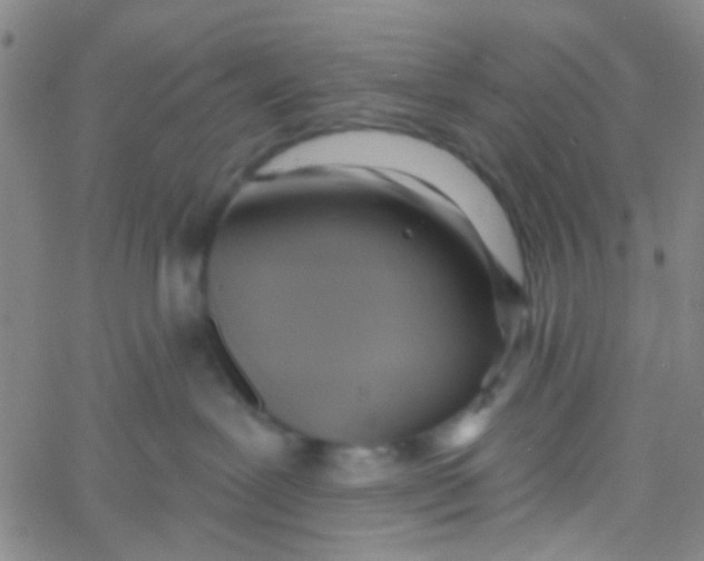 X0000061750239200512231533