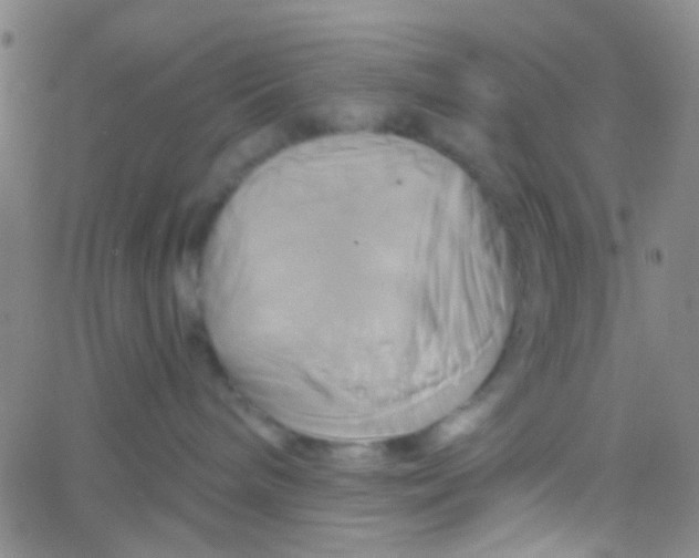 X0000061750240200512231533