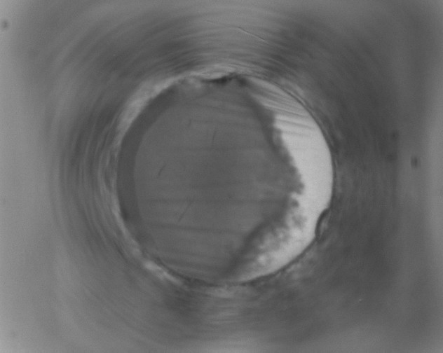 X0000061750241200512231533