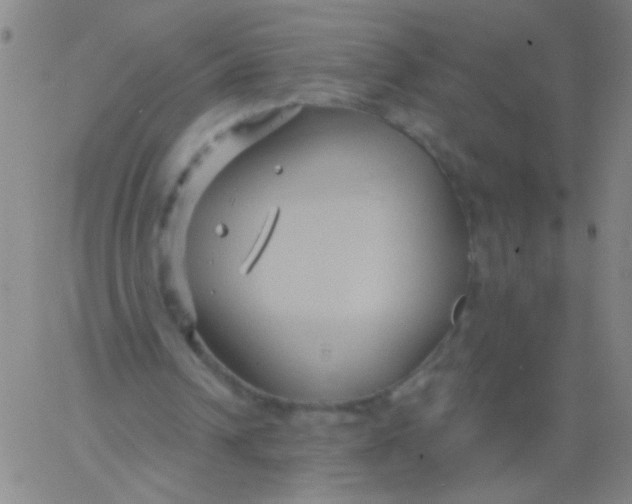 X0000061750242200512231533