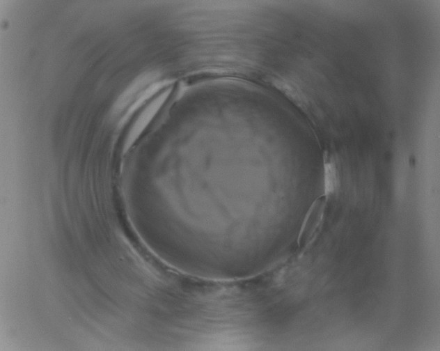 X0000061750243200512231533