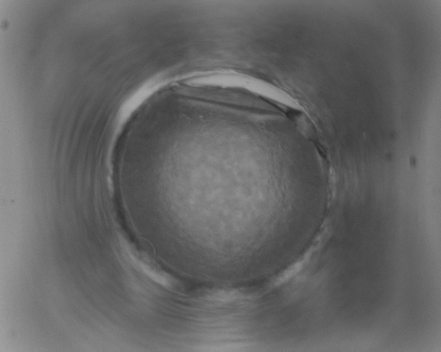 X0000061750246200512231533