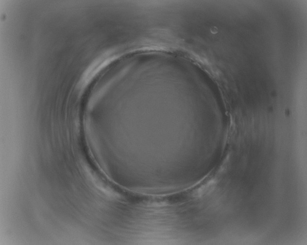 X0000061750247200512231533