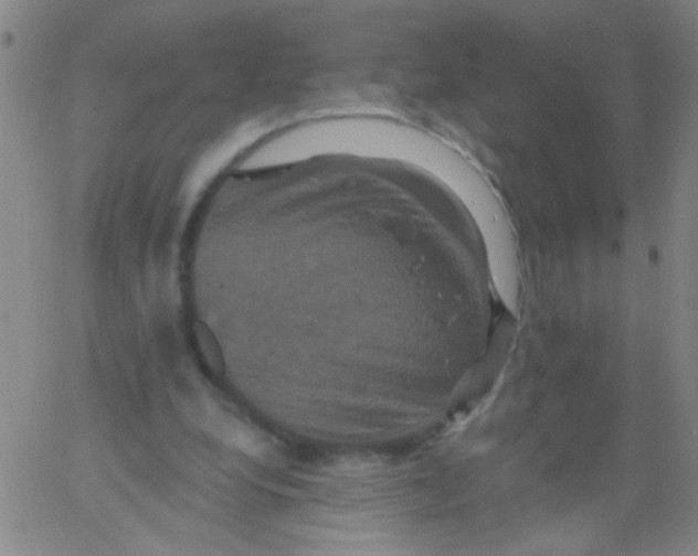 X0000061750248200512231533