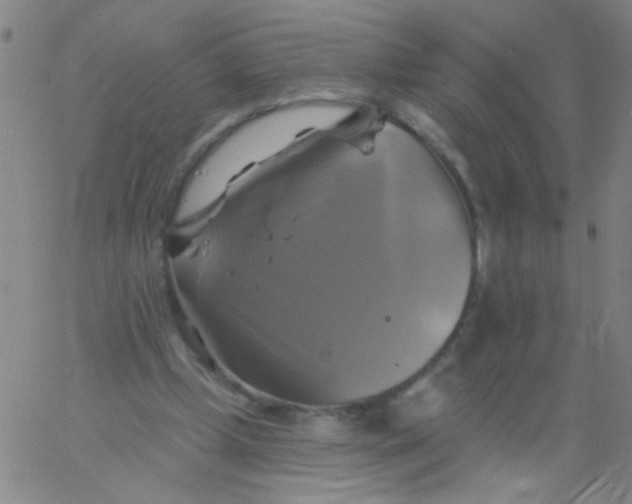 X0000061750249200512231533