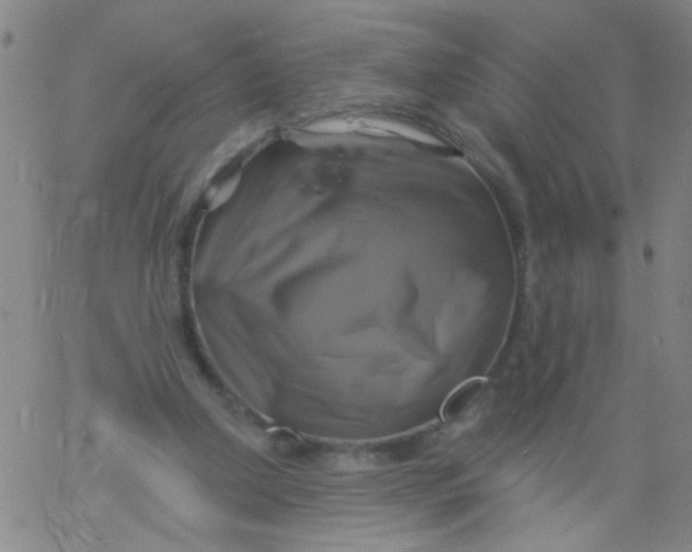 X0000061750250200512231533