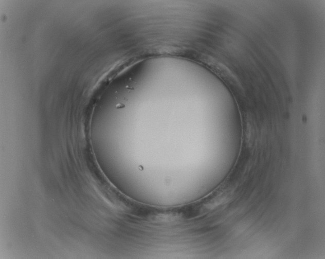 X0000061750251200512231533