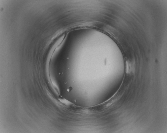 X0000061750253200512231533