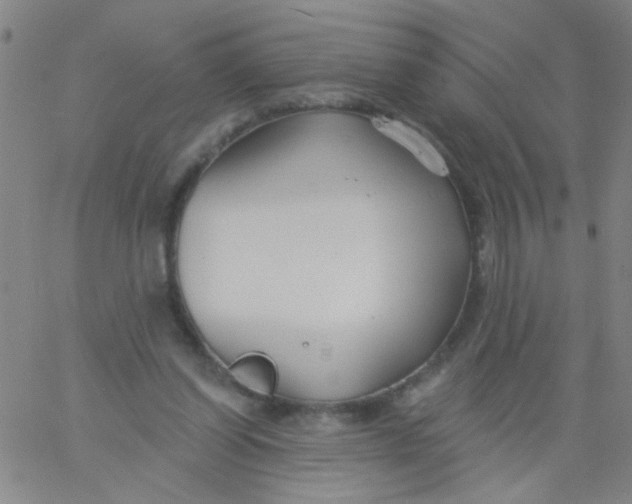 X0000061750254200512231533