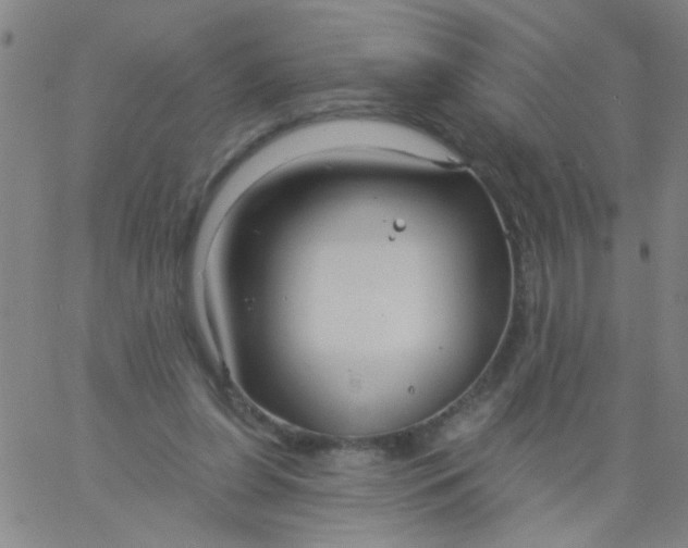 X0000061750255200512231533