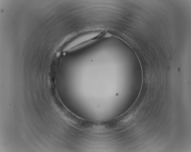 X0000061750256200512231533