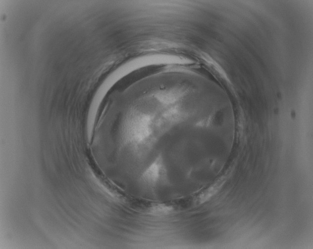 X0000061750257200512231533