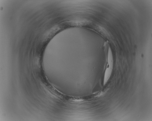 X0000061750258200512231533