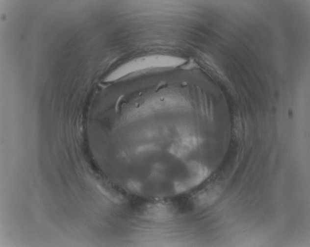 X0000061750259200512231533