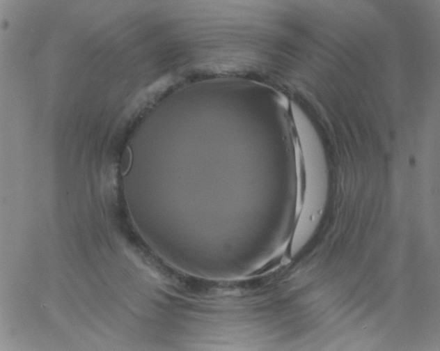 X0000061750260200512231533