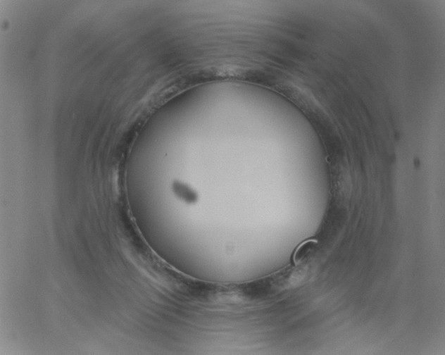 X0000061750262200512231533