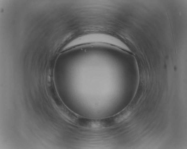 X0000061750264200512231533