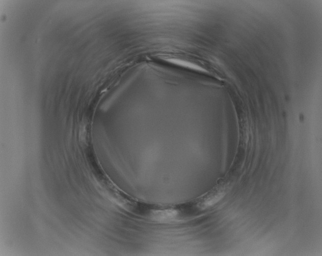 X0000061750266200512231533