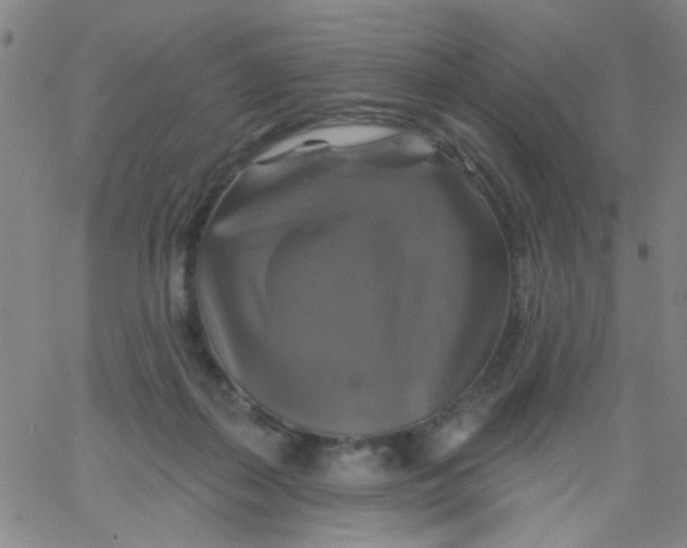 X0000061750267200512231533