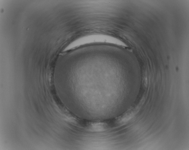 X0000061750268200512231533