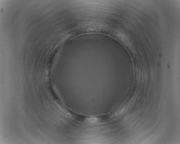 X0000061750269200512231533