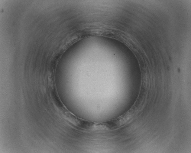 X0000061750270200512231533