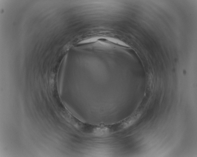 X0000061750271200512231533