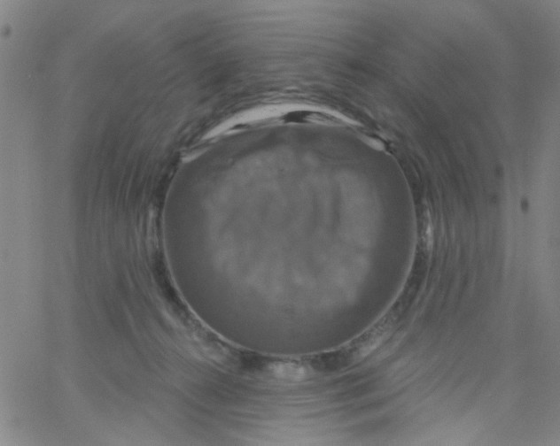 X0000061750272200512231533