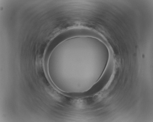 X0000061750276200512231533