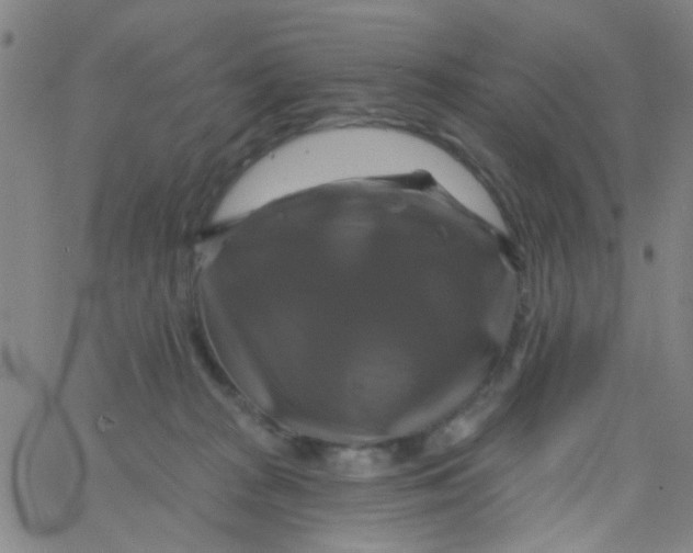 X0000061750277200512231533