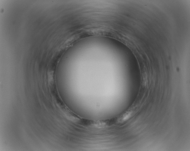 X0000061750278200512231533