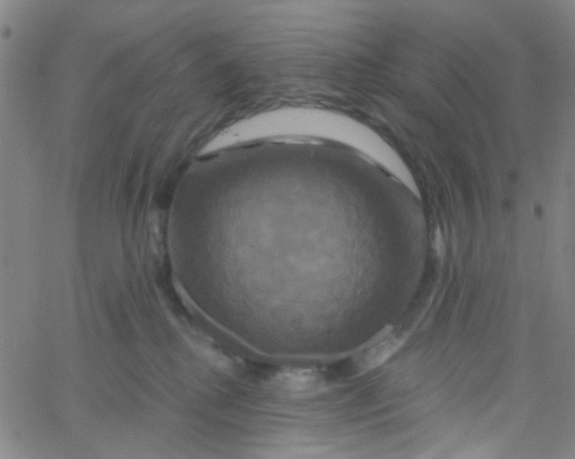 X0000061750280200512231533