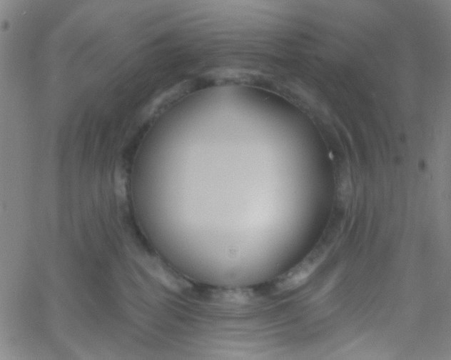 X0000061750282200512231533