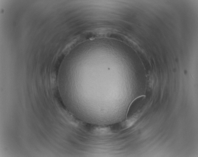 X0000061750283200512231533