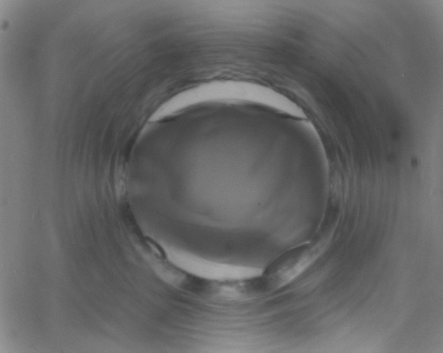 X0000061750285200512231533