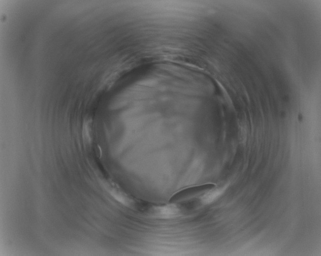 X0000061750286200512231533