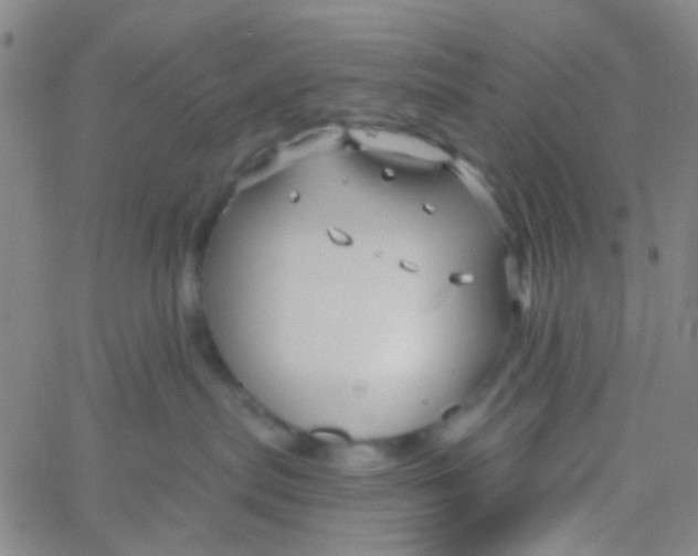 X0000061750287200512231533