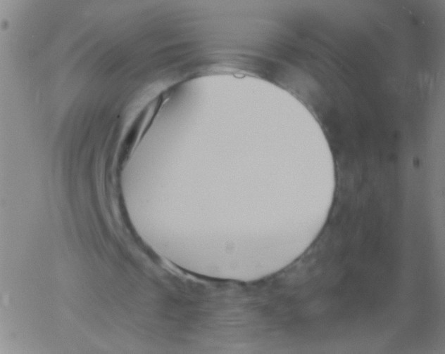 X0000061750289200512231533