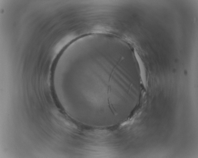 X0000061750292200512231532