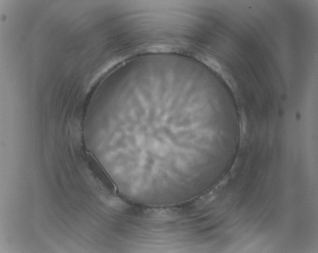 X0000061750297200512231532