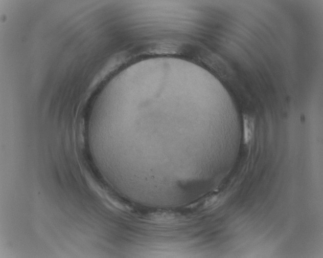 X0000061750300200512231532