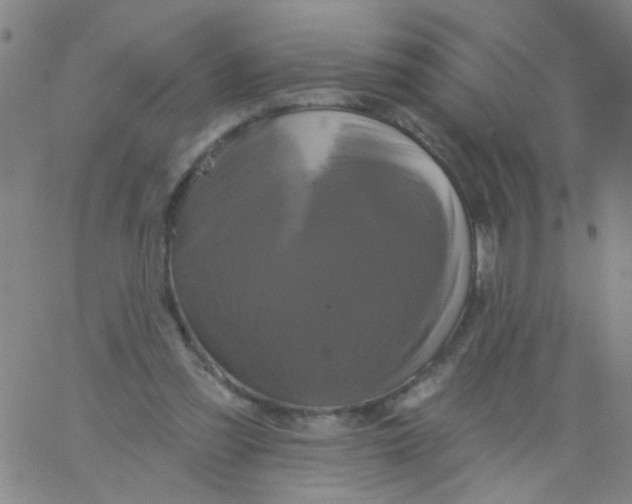 X0000061750301200512231532