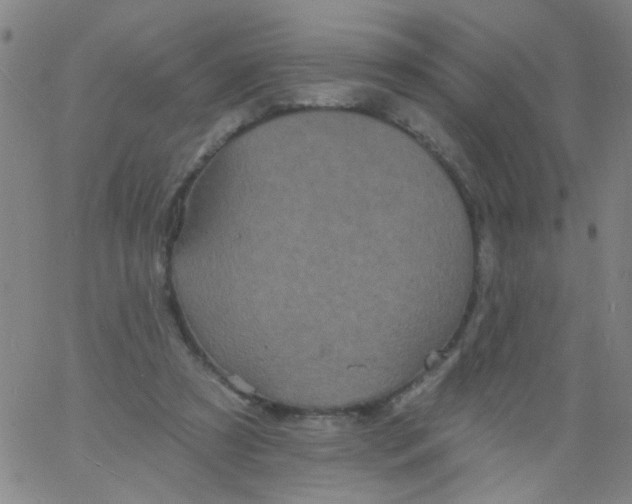 X0000061750305200512231532