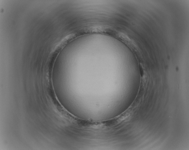 X0000061750306200512231532