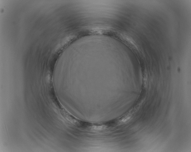 X0000061750314200512231532