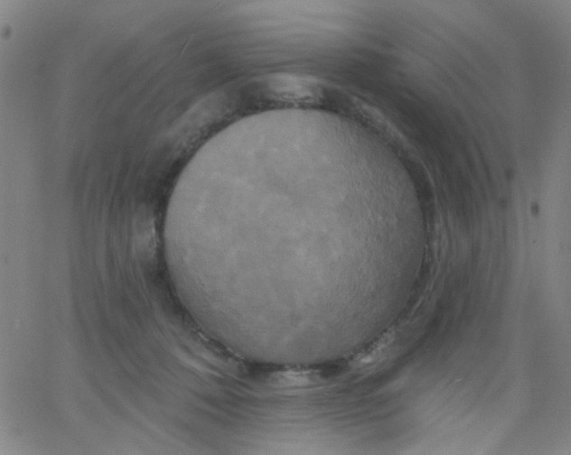 X0000061750320200512231532