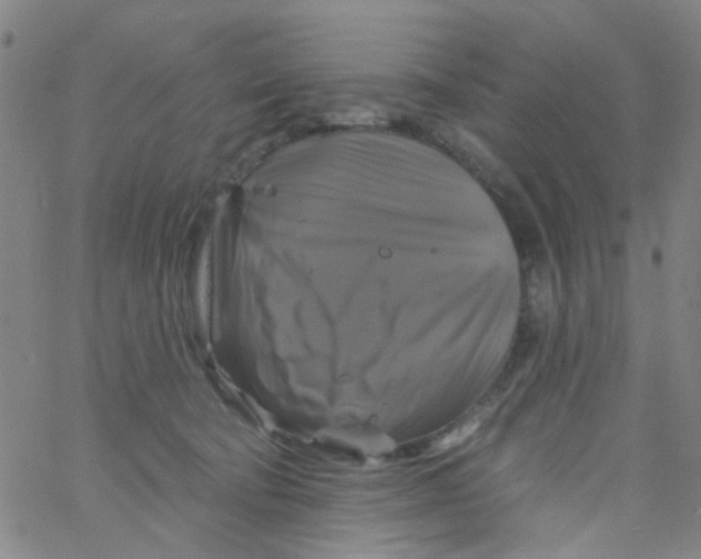 X0000061750322200512231532