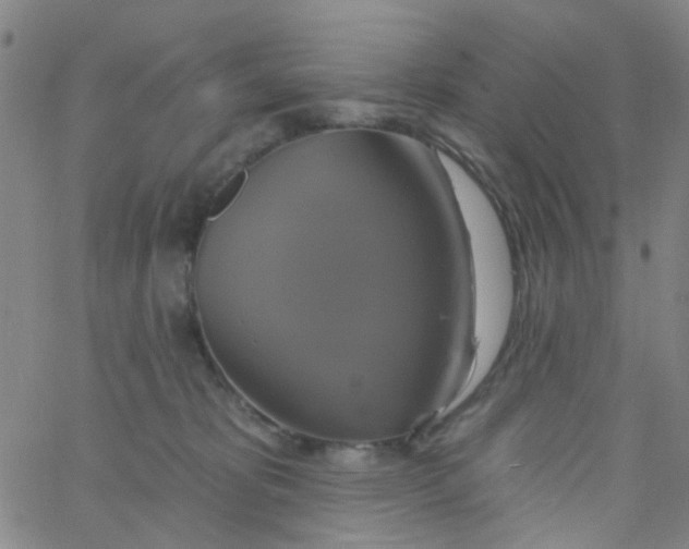 X0000061750325200512231532